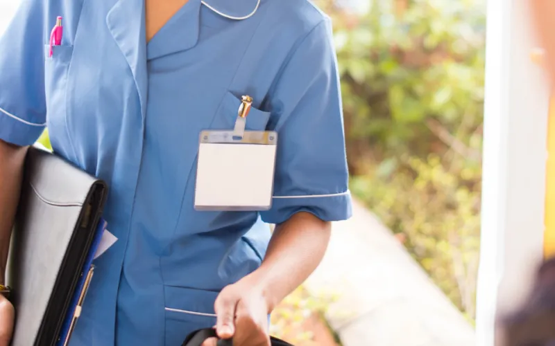 Paradise care web