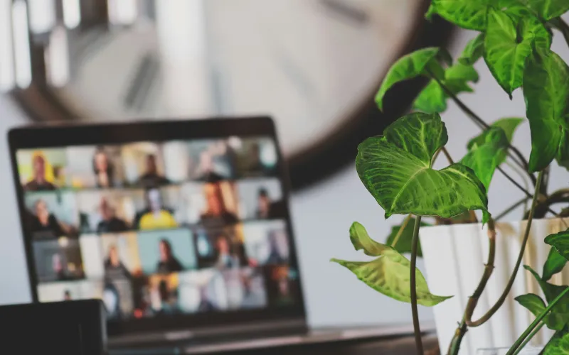 Remote Working Zoom Call