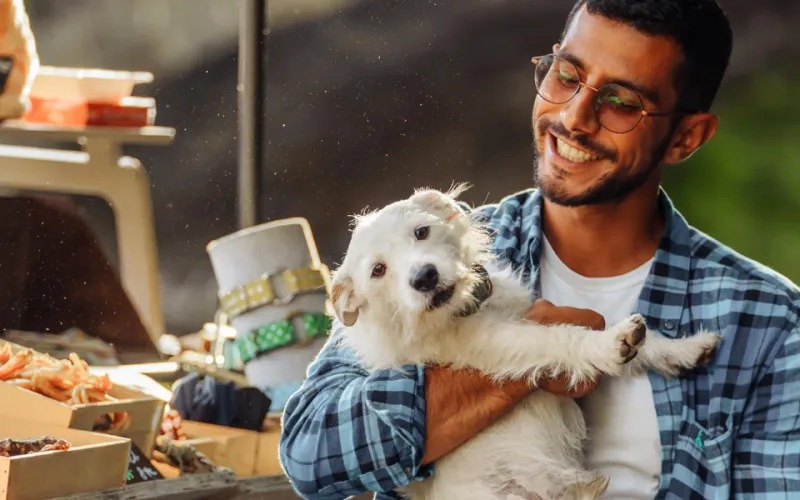 Website thumbnails Aziz