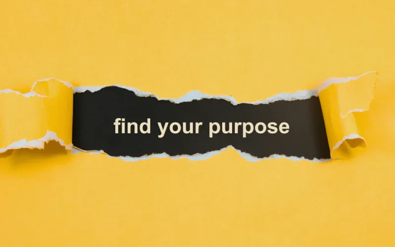 Purpose blog