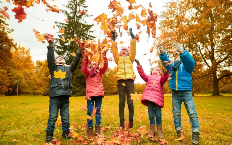 Autumn image