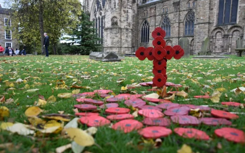 Justice Matchstick poppies