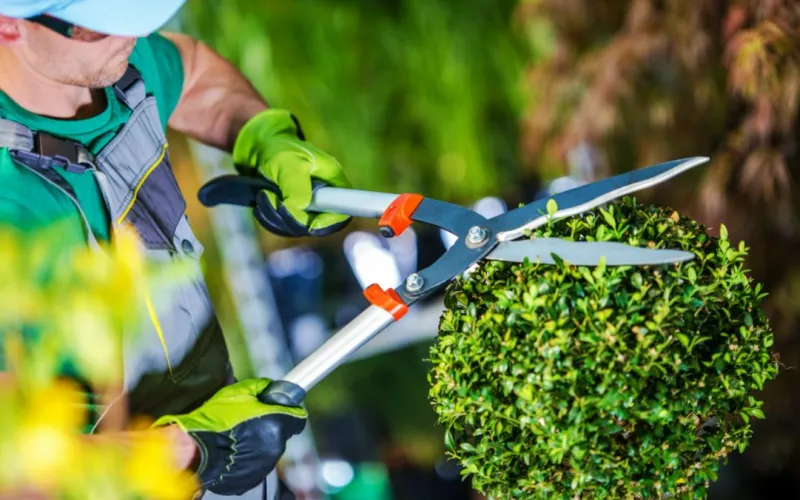 Employment countryside jobs