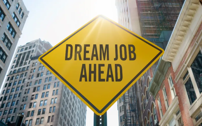 Dream job article
