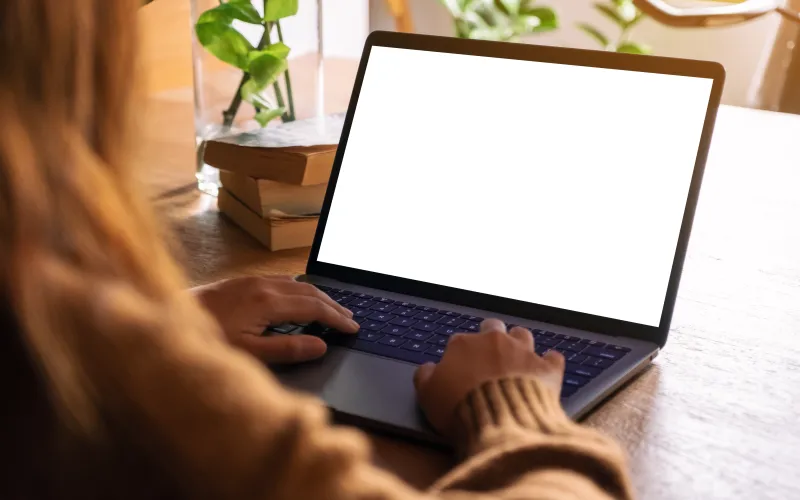 shutterstock 1455833642